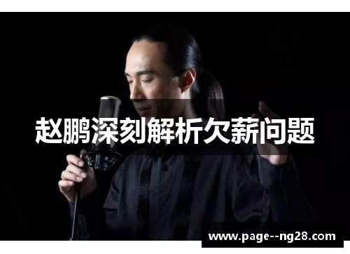 赵鹏深刻解析欠薪问题