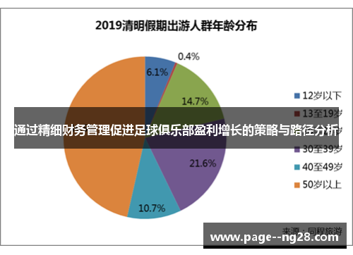 通过精细财务管理促进足球俱乐部盈利增长的策略与路径分析